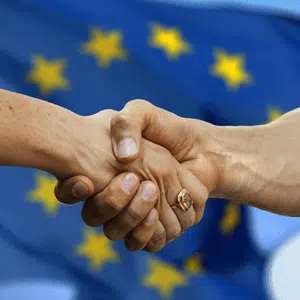 Lundi 7 février - Conférence en ligne à l'occasion des 30 ans de la signature du traité sur l'Union européenne