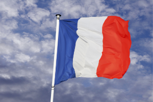 Visual : French Flag for topics on France