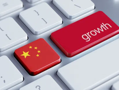 Article "Can China Manage its Growth Crisis?" - Wei ZHAO