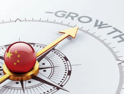 -Article "What Drives China's Growth Momentum?" - Wei Zhao