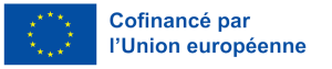 Logo - Projet co-financé par l'Union européenne - Chaire Jean Monnet