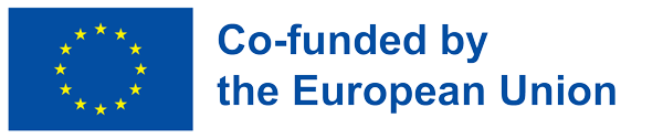 Logo - Project co-funded by the European Union - Jean Monnet Chair