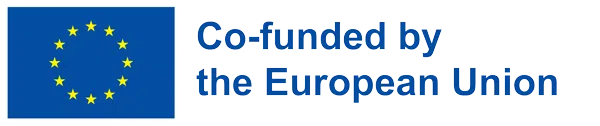 Logo - Project co-funded by the European Union - Jean Monnet Chair