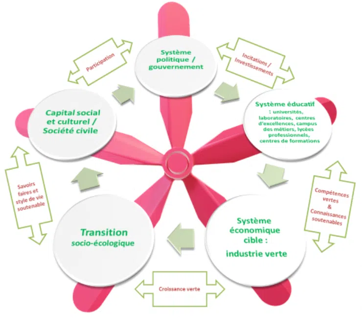 Illustration du modèle « quintuple hélice » vert / Source : Modifié de Carayannis et al. (2012). 